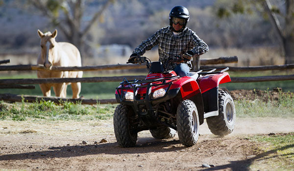 TRX250 TM