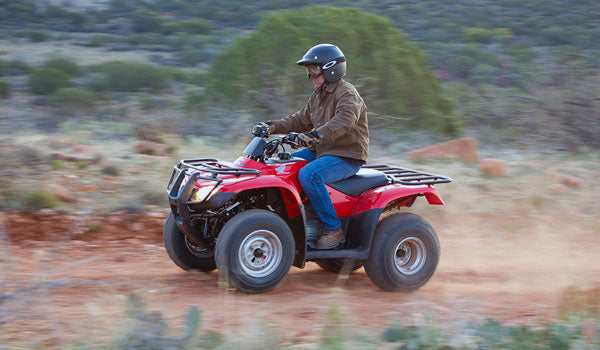 TRX250 TM