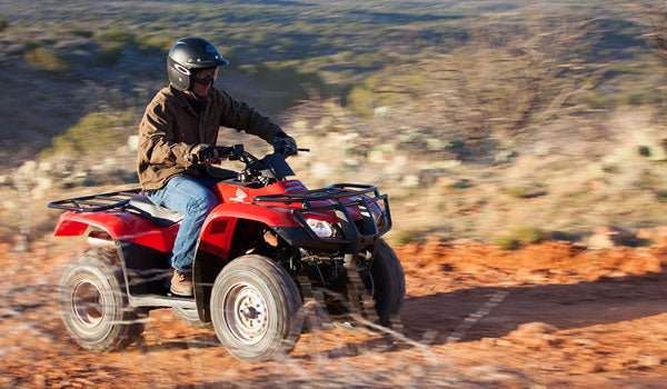 TRX250 TM
